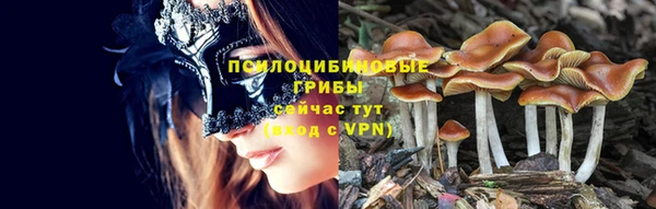 прущие крисы Заводоуковск
