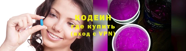 прущие крисы Заводоуковск