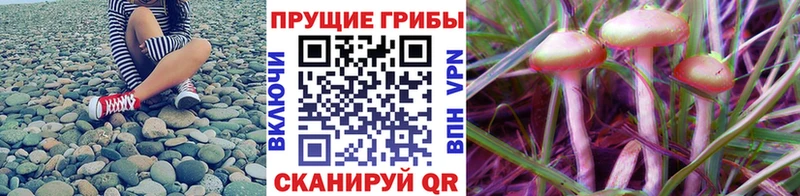 Псилоцибиновые грибы мухоморы Купить закладки Истра